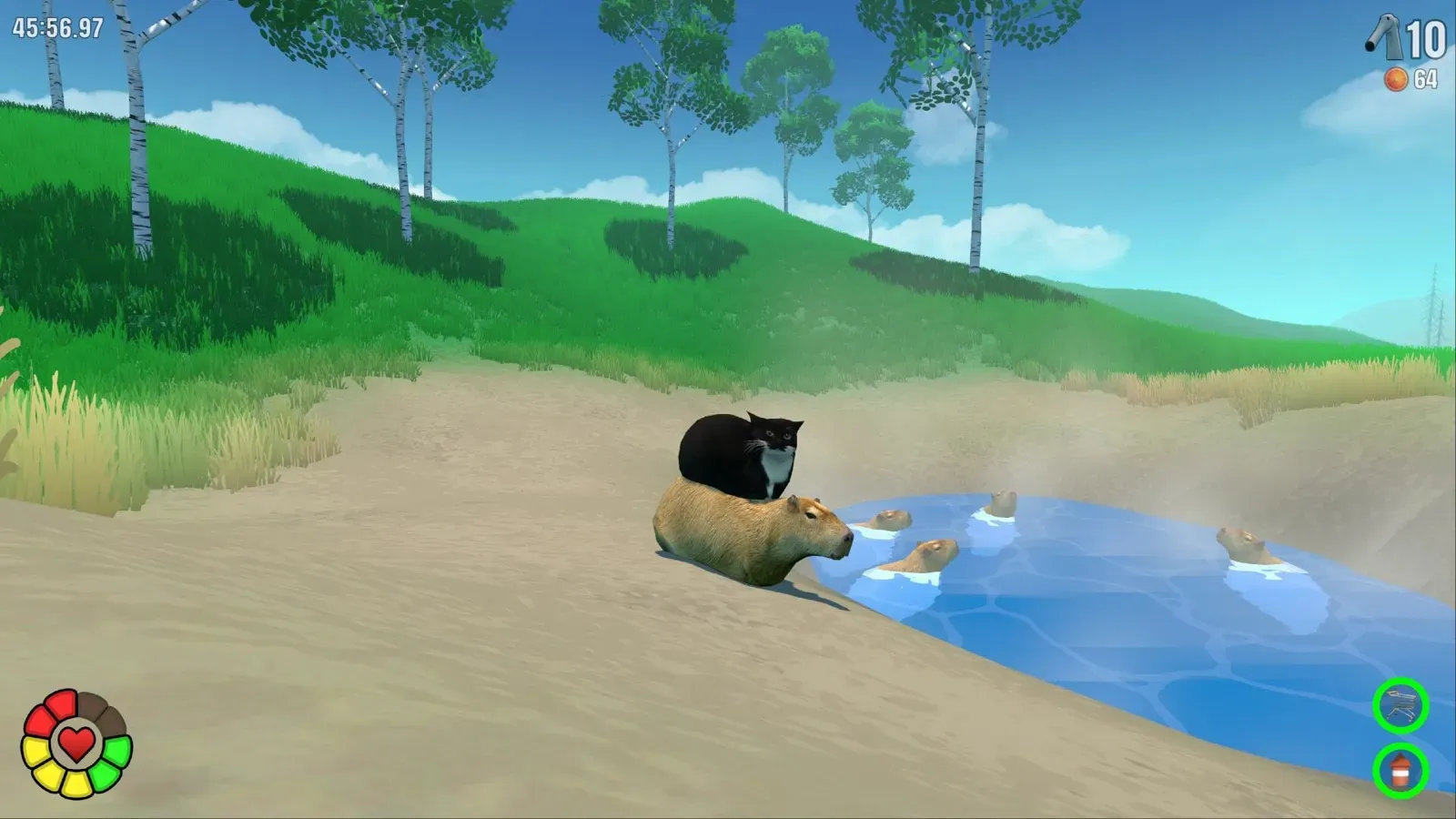Cat and Capy relaxing by a steaming hot spring