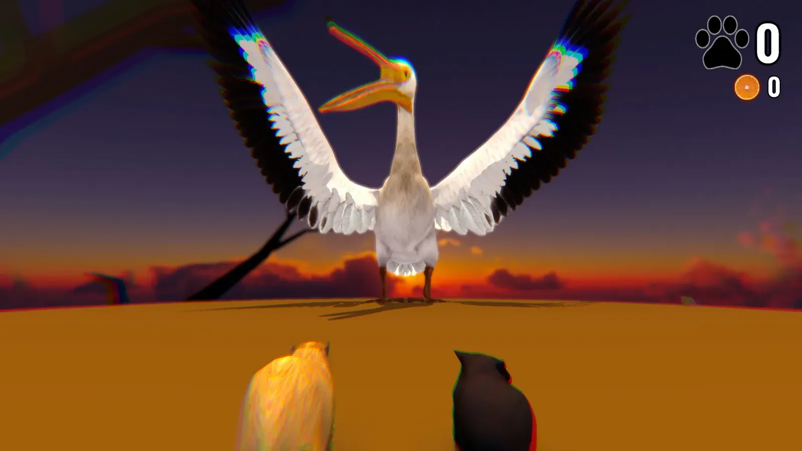 A giant pelican boss spreading its wings at sunset
